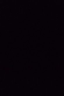 [Bl/Songtính] Đêm Ngày Làm Tình