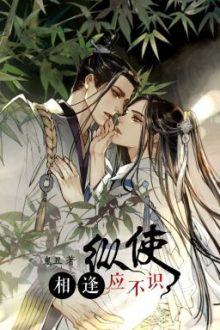 Cho Dù Gặp Lại Nên Không Quen