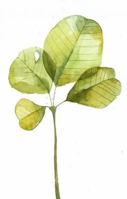 [Đm] Trầm Chu – Sở Hàn Y Thanh (Full)