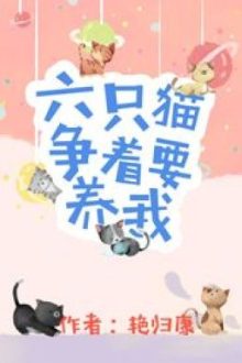 Sáu Con Mèo Tranh Nhau Muốn Nuôi Ta