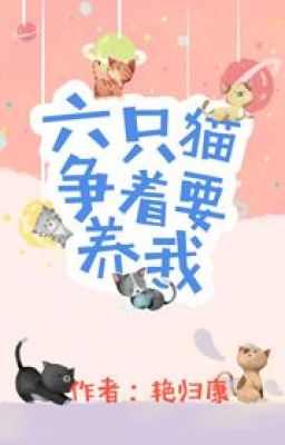 Sáu Con Mèo Tranh Nhau Muốn Nuôi Ta