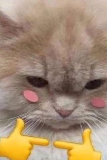 Đại Ngốc Và Tiểu Mỹ Nhân