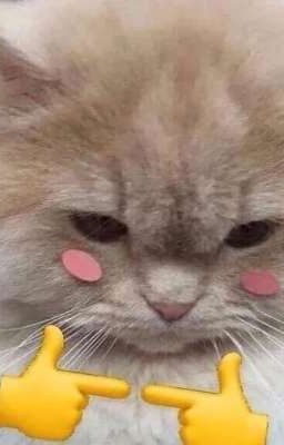 Đại Ngốc Và Tiểu Mỹ Nhân