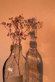 [Dược Sư Tự Sự/ Maojin] Elf & Human