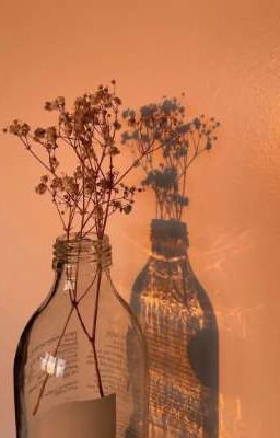 [Dược Sư Tự Sự/ Maojin] Elf & Human