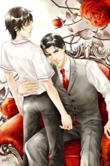 Phục Cừu Pháp Tắc –  Mãi Thố Quân