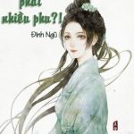 [Edit – H – Np] Xuyên Qua: Bắt Buộc Phải Nhiều Phu – Đinh Ngũ