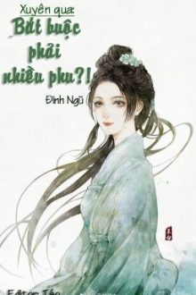 [Edit – H – Np] Xuyên Qua: Bắt Buộc Phải Nhiều Phu – Đinh Ngũ