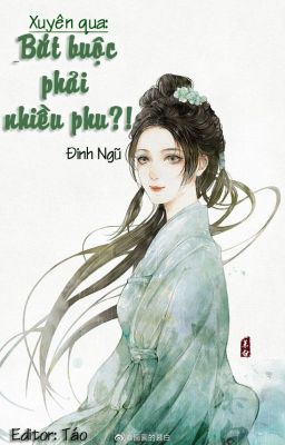 [Edit – H – Np] Xuyên Qua: Bắt Buộc Phải Nhiều Phu – Đinh Ngũ