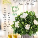 [Đam Mỹ|Edit] Bạch Nguyệt Quang Hương Hoa Nhài (Hoàn)
