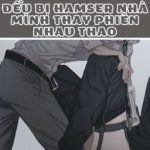 [Edit/Hoàn/3P/Song Tính] Mỗi Ngày Đều Bị Hamster Nhà Mình Thay Phiên Nhau Thao