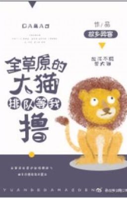 Toàn Thảo Nguyên Mèo To Xếp Hàng Chờ Ta Vén