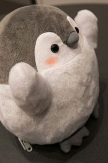 Lớp Trưởng Gương Mẫu Ngon Quá Thì Phải Làm Sao? [Song Tính – Tục]