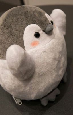 Lớp Trưởng Gương Mẫu Ngon Quá Thì Phải Làm Sao? [Song Tính – Tục]