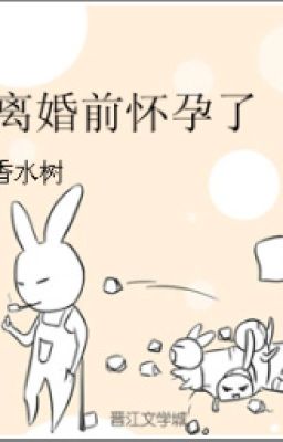 Mang Thai Trước Ly Hôn Poster