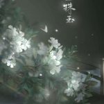 Fanfic 睡蓮草子