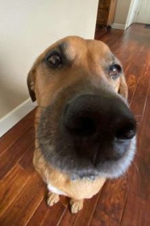 Đắc Thắng × Thái Khang | Mùa Hạ Và Gió Nam.