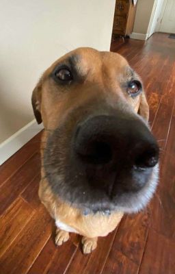 Đắc Thắng × Thái Khang | Mùa Hạ Và Gió Nam.