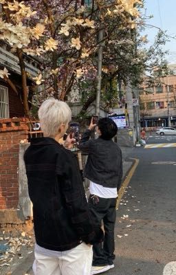 [Boylove/Abo] Mày Là Của Tao Đấy Nhé.