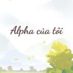 Alpha Của Tôi – Cải Muối Dưa Rất Ngon