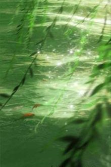 [Đm/ Np] Vọng Xứ