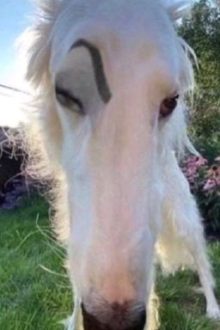 [Edit/ Đam Mỹ/ Thầm Thương] Kế Hoạch Cứu Vớt Nam Thần – Đào Bạch Bách