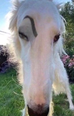 [Edit/ Đam Mỹ/ Thầm Thương] Kế Hoạch Cứu Vớt Nam Thần – Đào Bạch Bách