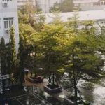 Chàng Dâu Beta Của O Trội
