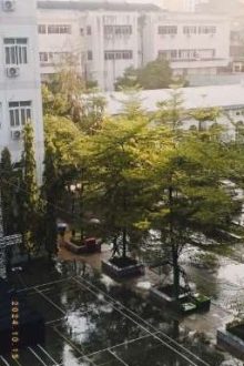 Chàng Dâu Beta Của O Trội