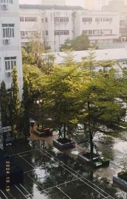 Chàng Dâu Beta Của O Trội