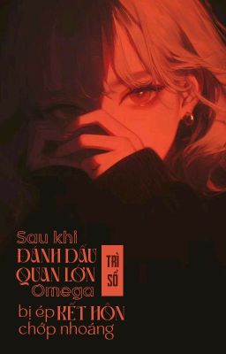 [Bhtt – Qt] Sau Khi Đánh Dấu Quan Lớn O, Bị Ép Kết Hôn Chớp Nhoáng – Trì Sổ