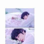 12Cs Bl • Abo ; 𝐦𝐨𝐧 𝐜𝐡𝐞𝐫.