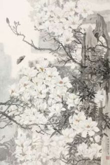 Tuyết Lở (Choran,Abo)