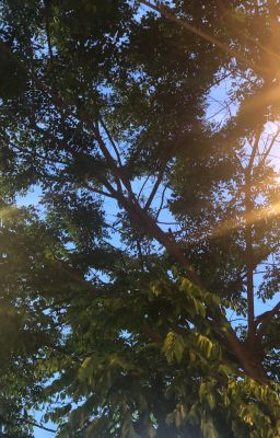 Trong Thế Giới Mới Poster