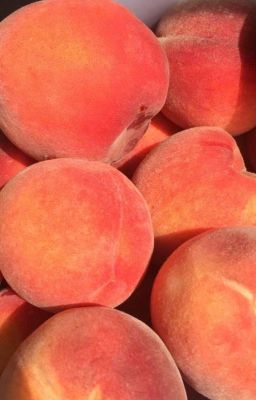 [Libra – Centric] Willowy