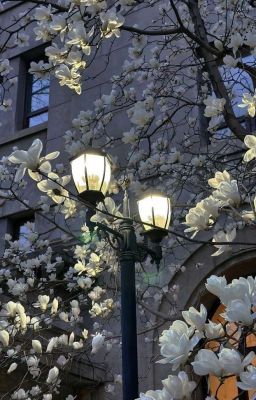 [Shingensomi] Silent