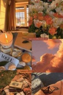 〈Zeuvi〉Cam Vị Nước Lọc