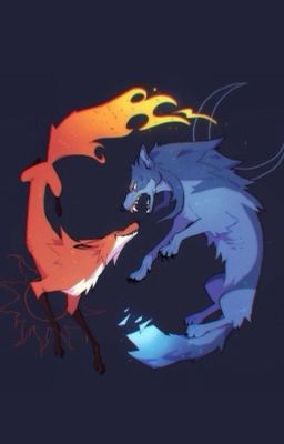 [Gl] Lạc Trong Mắt Cáo