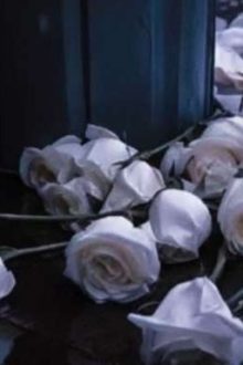 Ảo Mộng [ Otp/ Eabo]