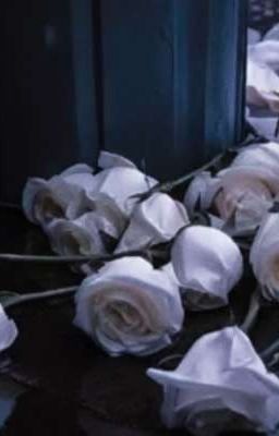 Ảo Mộng [ Otp/ Eabo]