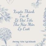 | Bhtt | | Editing | Xuyên Thành Tra A Bị Đại Tiểu Thư Hào Môn Ép Cưới