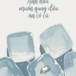 [Bhtt – Qt] Ảnh Hậu Muốn Quay Đầu Ăn Cỏ Cũ – Hỏa Viêm