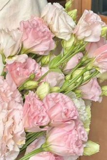 [Atsh] Anh Trai Say Nhau <3