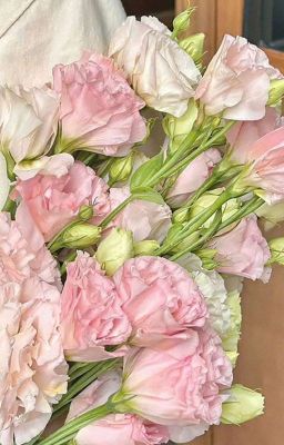 [Atsh] Anh Trai Say Nhau <3