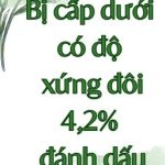 Bị Cấp Dưới Có Độ Xứng Đôi 4,2% Đánh Dấu [Đam][Edit][Hoàn]