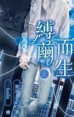 (Abo/Edit/21+) Sinh Ra Trong Kén