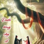 [Diệp Anh X Thùy Trang] Dưới Bóng Cây Cổ Thụ