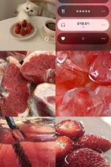 〈Zeuvi 〉Xoài Dâu Và Cam Béo