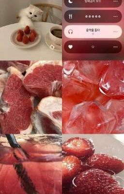 〈Zeuvi 〉Xoài Dâu Và Cam Béo