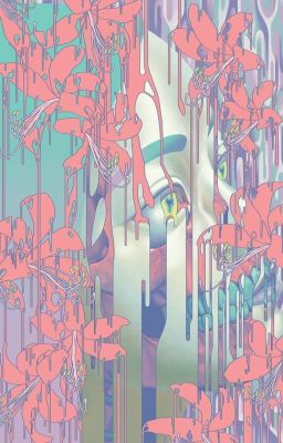 Safari – Coll Bhtt